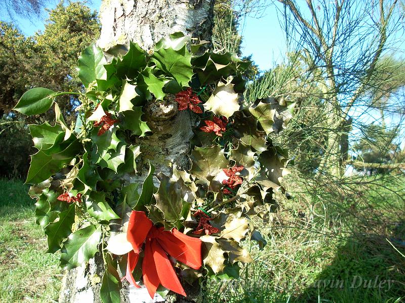 Wreath, Blackheath DSCN0815.JPG -           